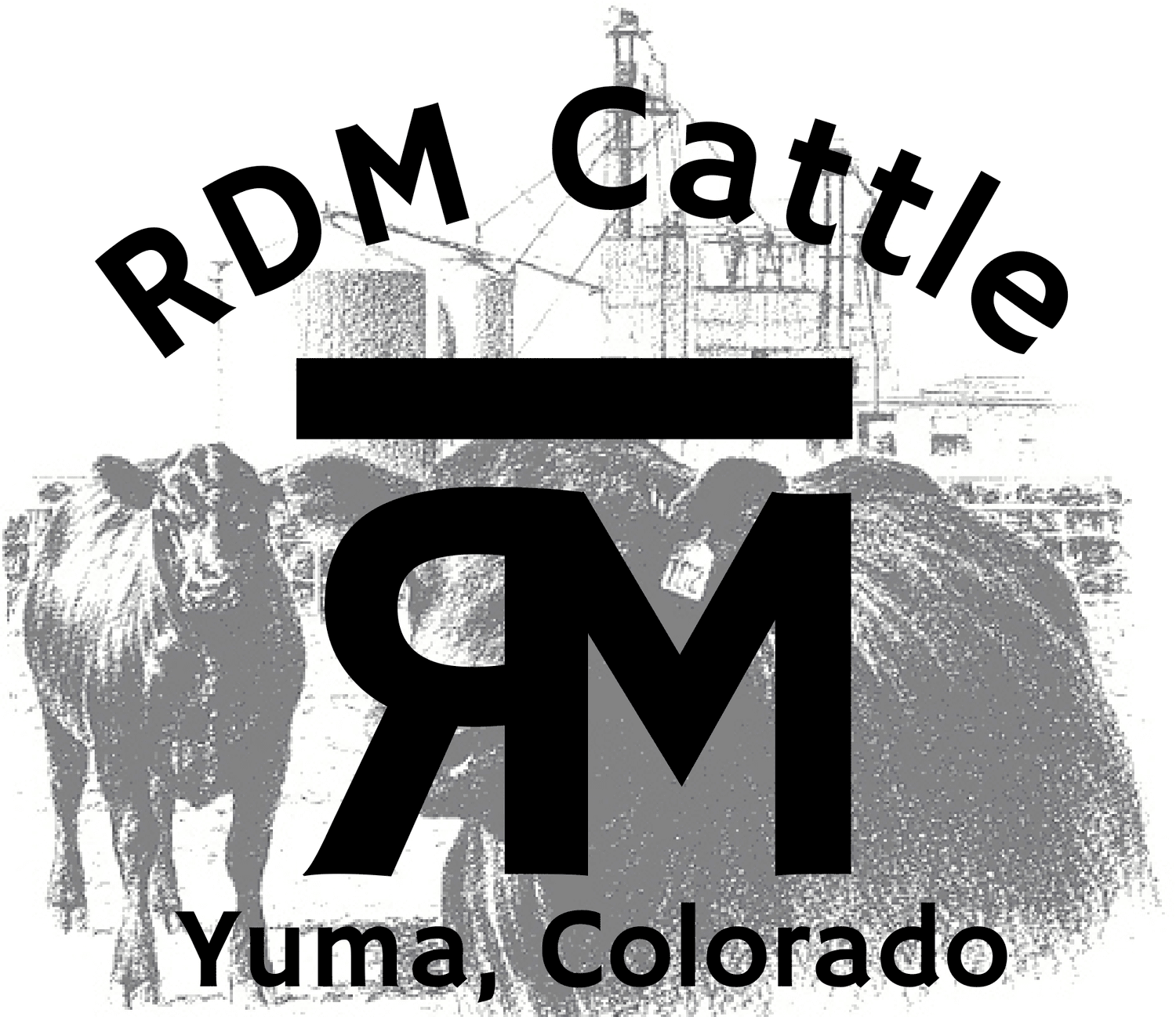 Logo Logo of RDM Cattle, featuring the brand initials "RDM" prominently, with an illustration of cattle in the background and the text "Yuma, Colorado," representing the cattle farming business based in Yuma, Colorado.