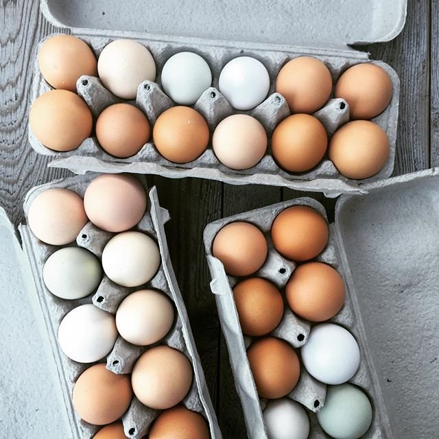 egg_cartons_onwood Colorful assortment of fresh eggs in cartons, featuring various shades including brown, white, and blue, arranged on a wooden surface. Perfect for culinary photography, farm-to-table concepts, or egg-related recipes.